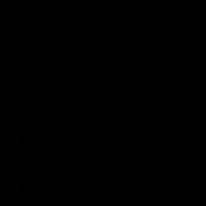 Meet your Posher, Jayde